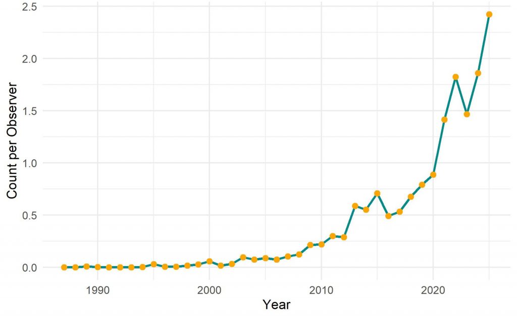 Graph showing average number of Eastern Bluebirds per observer, 1987–2025.