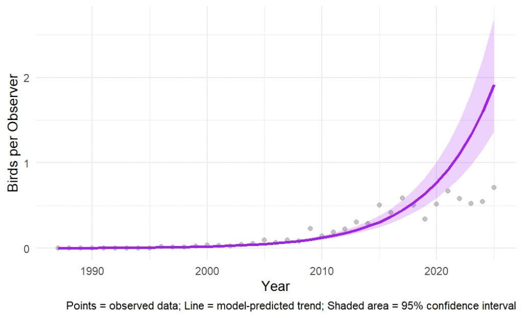 Graph showing Red-bellied Woodpecker winter population trend in New Hampshire from 1987 to 2025, with model prediction and 95% confidence interval.
