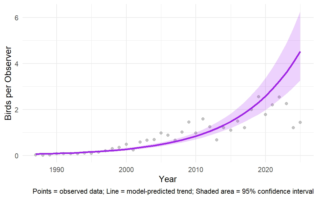 Graph showing Wild Turkey winter population trend in New Hampshire from 1987 to 2025, with model prediction and 95% confidence interval.