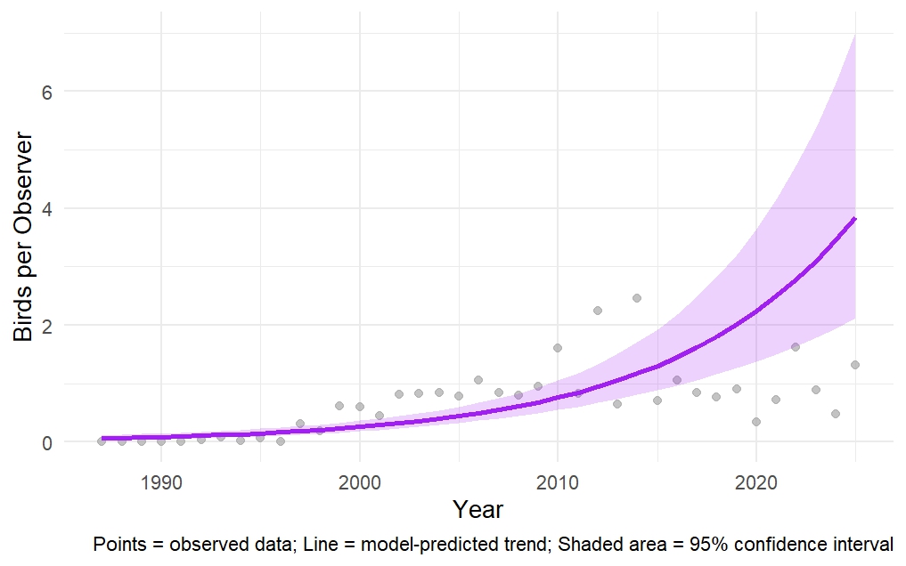 Graph showing American Robin winter population trend in New Hampshire from 1987 to 2025, with model prediction and 95% confidence interval.