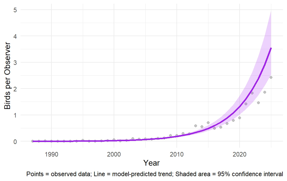 Statistical trend graph of Eastern Bluebirds from the Backyard Winter Bird Survey (1987–2025), including model-predicted trend and confidence interval.