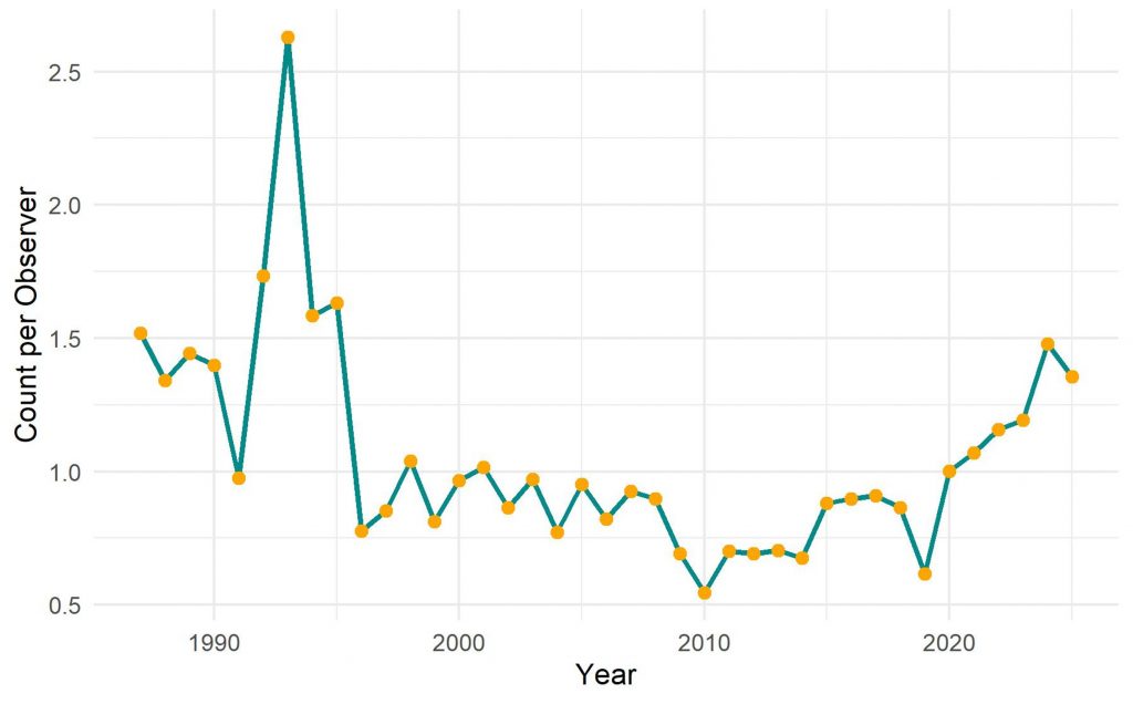 Graph showing average number of House Finches per observer, 1987–2025.